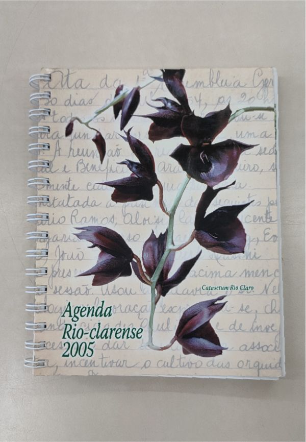 Agenda rio-clarense 2005